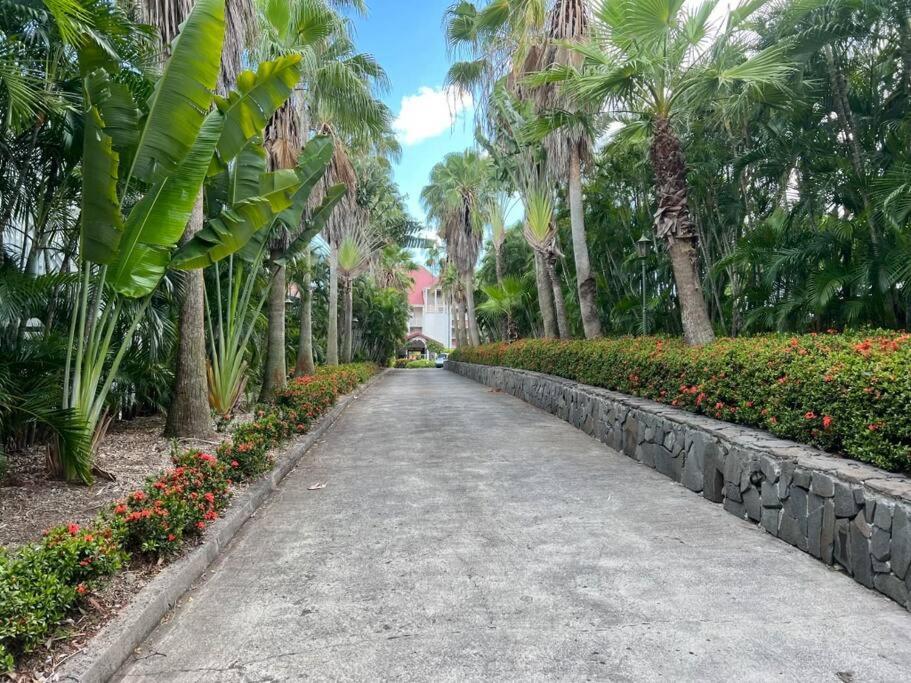 Apartmán Kaz Mango Sainte-Luce Exteriér fotografie